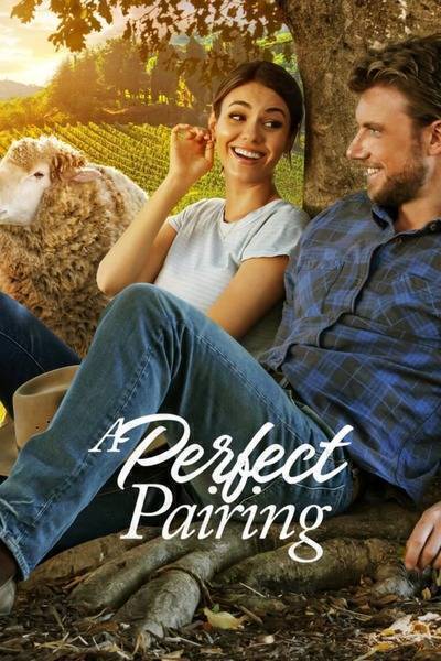 A Perfect Pairing Hindi Dubbed Movie Poster (2022)